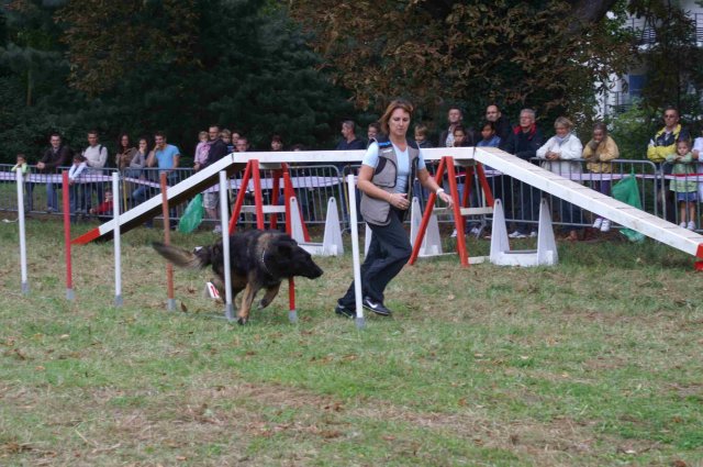 foire-haricots 2011-09-17et18